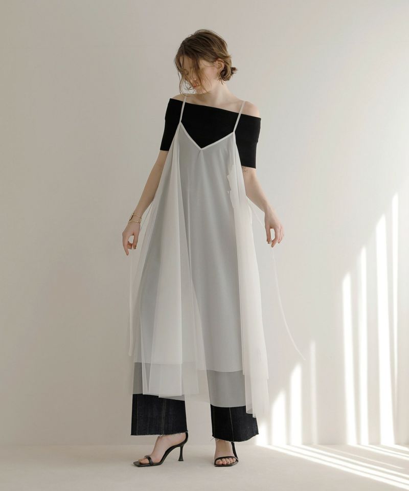 Mesh Sheer Layer Dress | MIELI INVARIANT